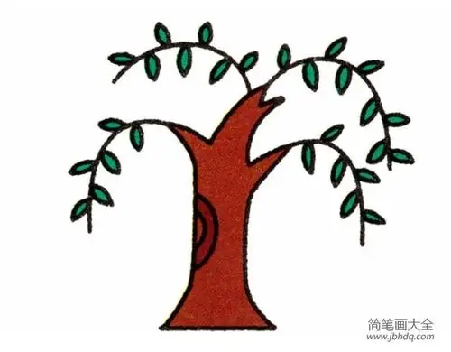柳树的画法_柳树简笔画-简笔画大全
