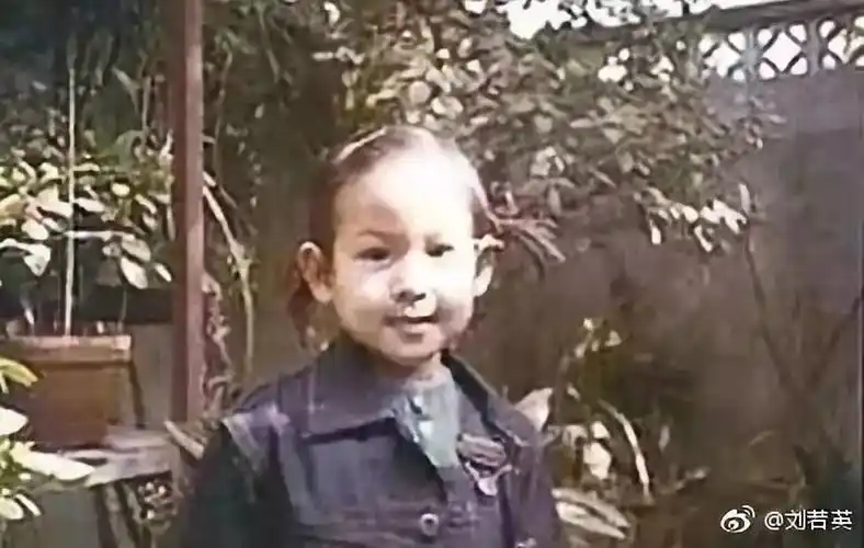 你听了懂刘若英的歌听懂她的爱情了吗