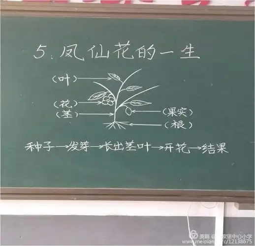 科学板书的美