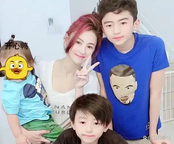 张柏芝两个儿子被指长相_谢霆锋_明星_子女