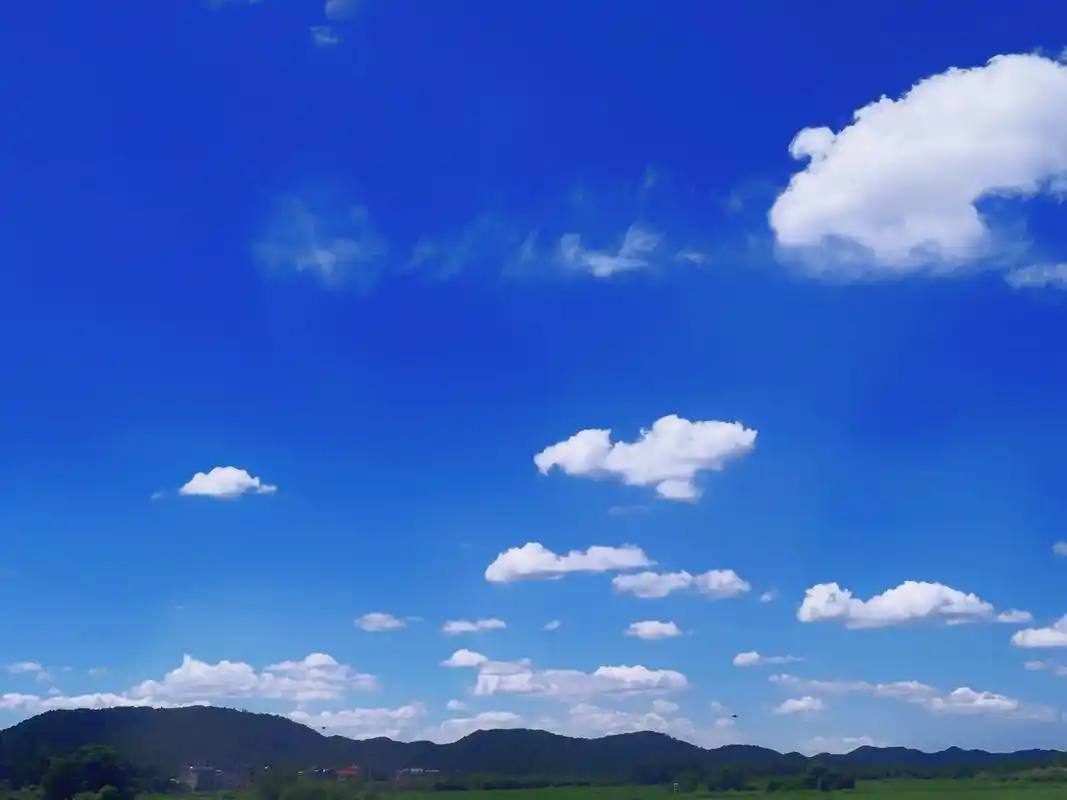 游.#治愈系风景 #旅行 #这个夏天 就像不同的花一样, - 抖音