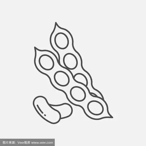 矢量,计算机图标,大豆,绘画插图,分离着色