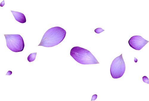 紫色花瓣png图片