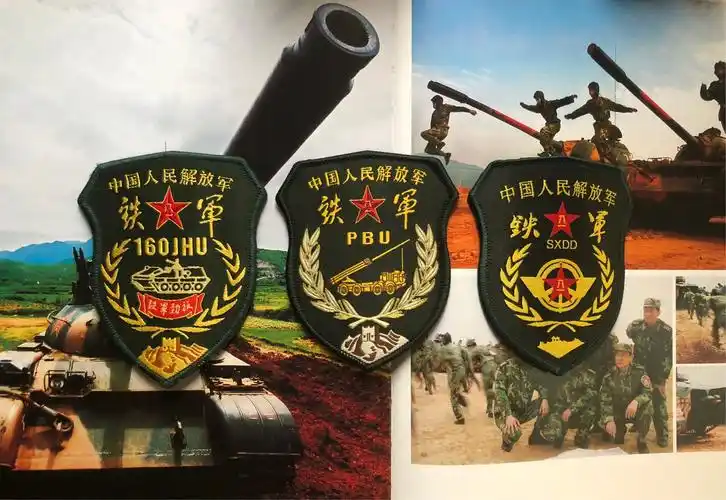 该组合为军改前铁军某部臂章