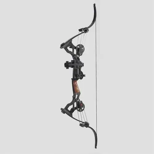 【展示】霸气侧漏的反曲复合弓