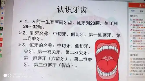 朱寨镇闫集幼儿园大一班班本课程《探秘——牙齿》