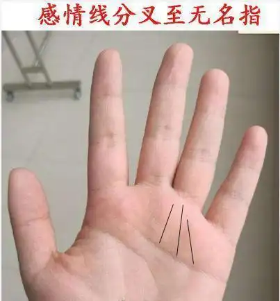 教你从手相特征识别花心男,什么样手相的男人特别花心?