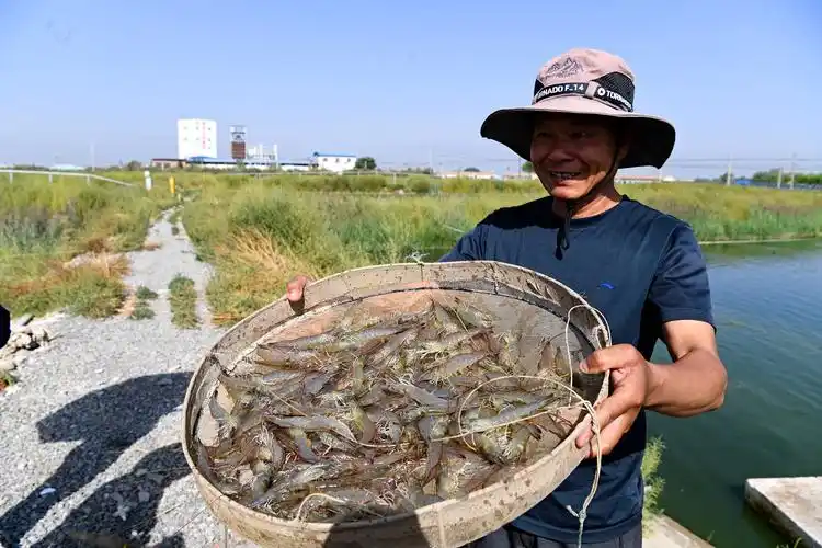 贺兰县打造渔业名优特品牌