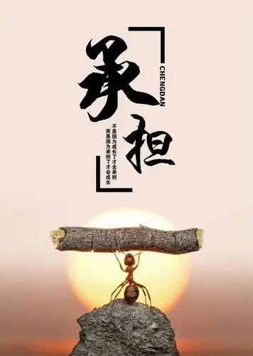 驾驶员为什么发怒呢