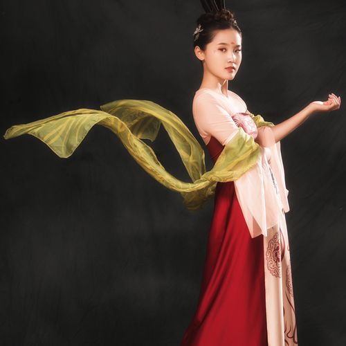 美人关舞蹈服王诗意同款演出服胡玉楼练功服唐制袔民族服装