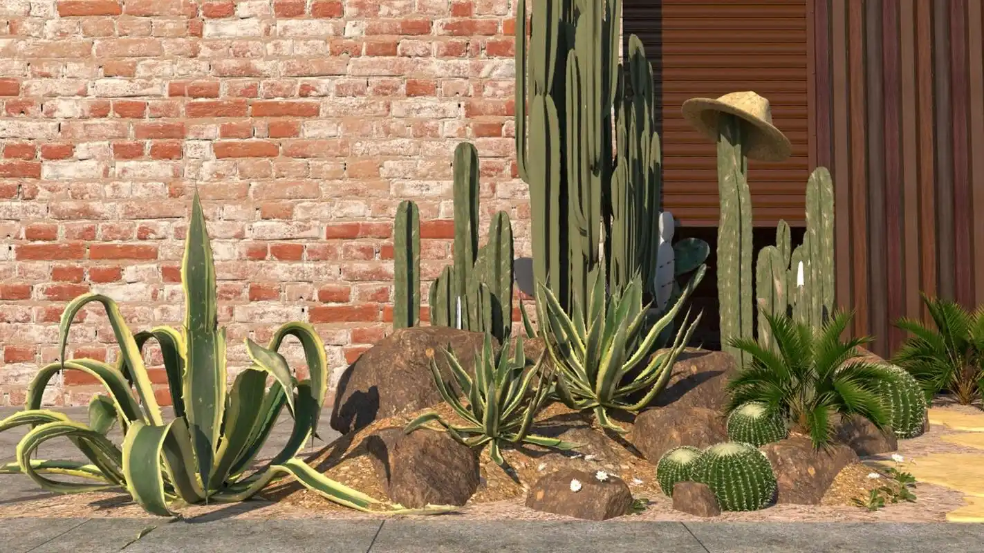 植物造景011|沙漠造景 多角度沙漠风植物造景效果图 沙漠植物配合各种