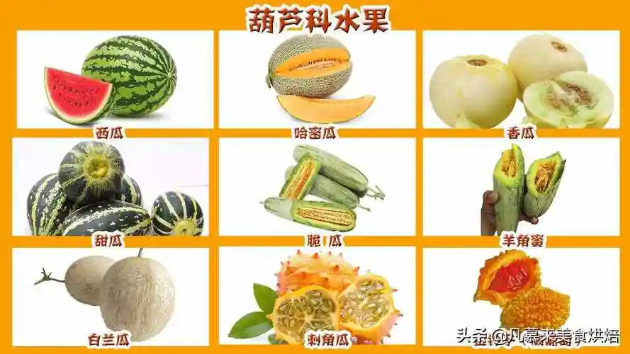 42个科154种水果别说吃过,你见过多少