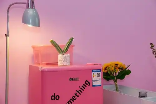 【幻想】粉红少女ins系·锦里武侯祠·近地铁4号线·体育学院 有腔调