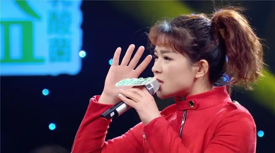 收视夺冠我是大明星冠军荣耀诞生