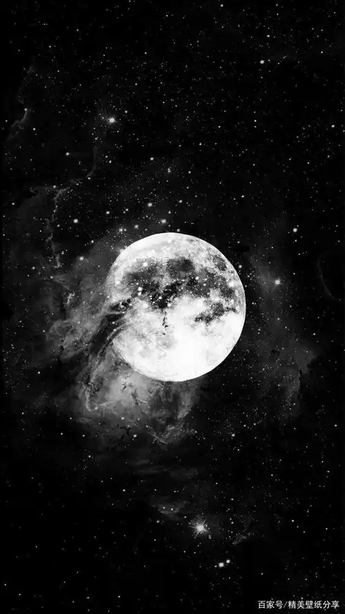 精典个性黑白手机壁纸