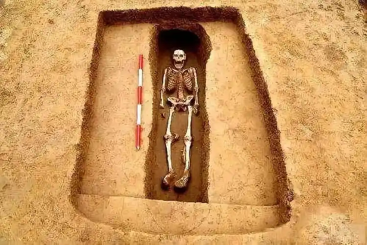 未解之谜古墓中的神秘人骨
