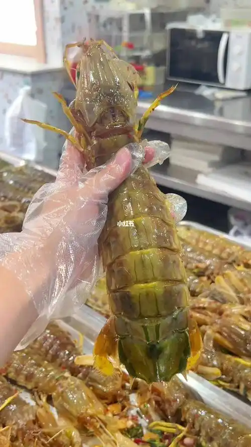 营养丰富汁鲜肉嫩的特大皮皮虾安排