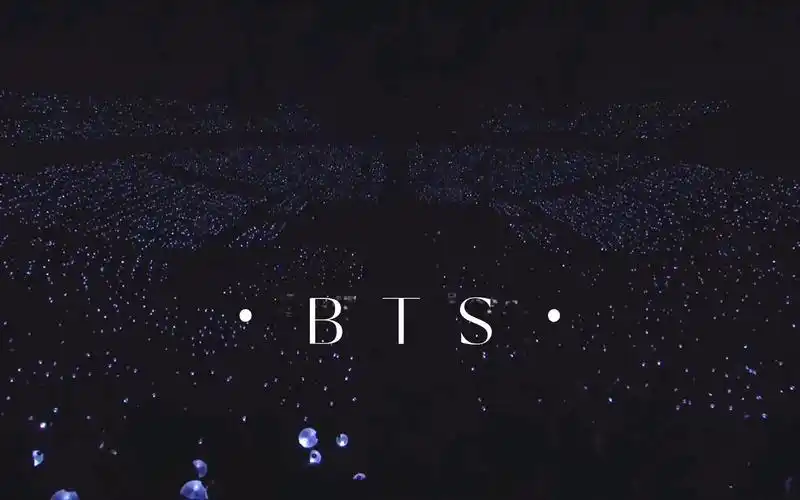 【bts】演唱会大爹!