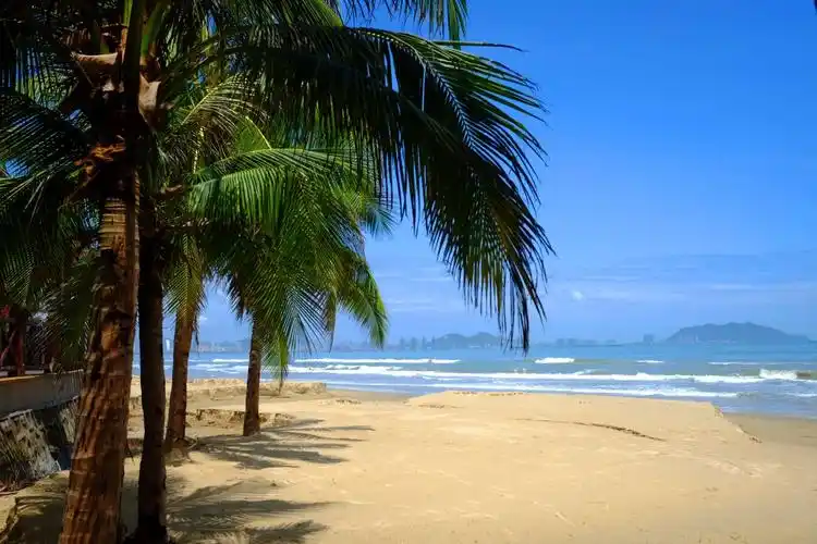 椰梦长廊是环三亚湾修建的一条海滨风景大道,椰树整齐地排列在路旁