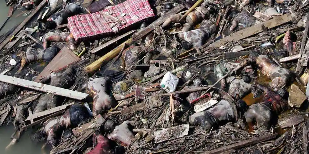 也称为南亚海啸,发生在 b>2004 /b>年 b>12月26日 /b>,这次地震发生的