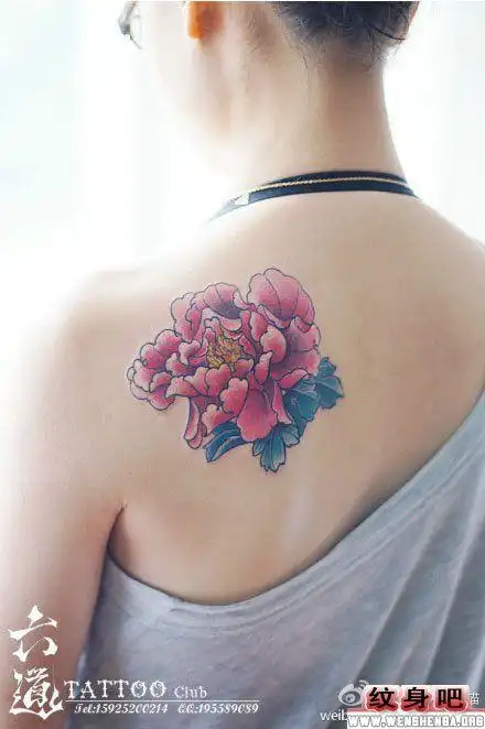 植物纹身图案大全 > 正文         富贵牡丹纹身图          手臂百合