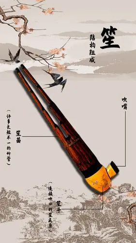 【喵美美喵帅帅科普小课堂】中国传统乐器:笙