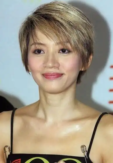 梅艳芳物业首拍卖未成功 其兄称继续打官司