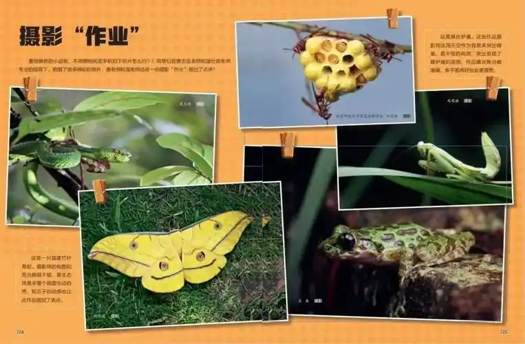 跟随唐志远和温仕良两位专家,寻找珍稀动植物,拍摄微距大片!