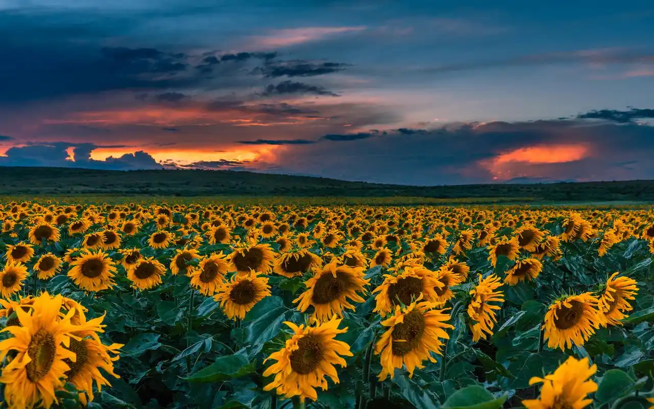 山水自然风光高清优美图片桌面壁纸