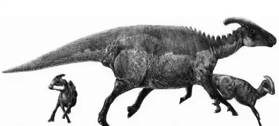 新发现:像天鹅的恐龙