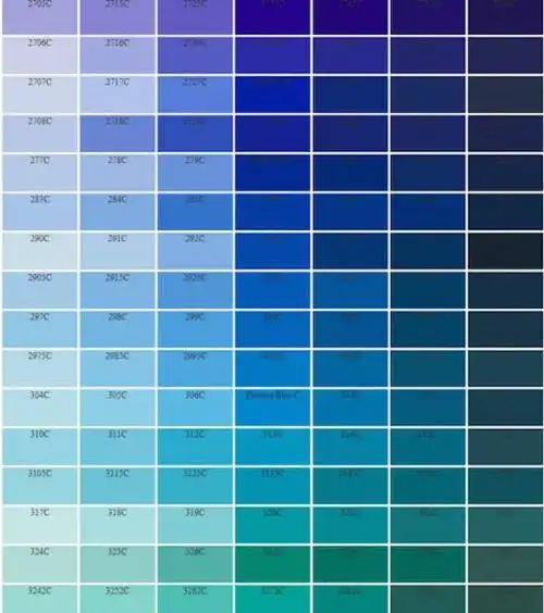 徧观 徧计所起色什么意思?如何解释?