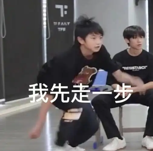 tf家族表情包分享4