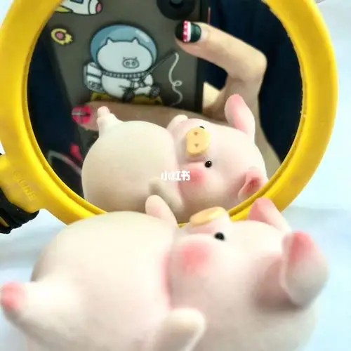一只会照镜子的小猪