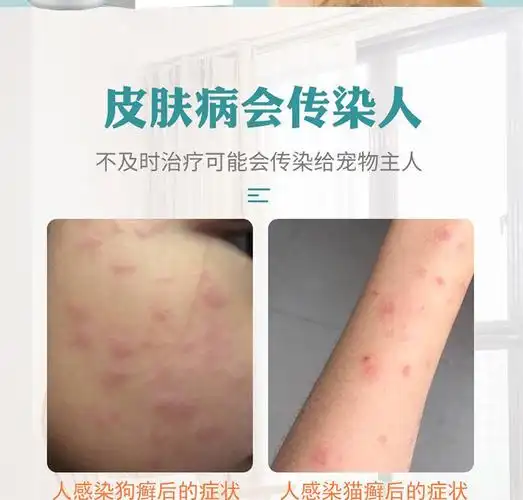 兽医 狗狗皮肤病专用 外用药治真菌感染螨虫去猫癣狗癣喷剂止痒 5瓶装