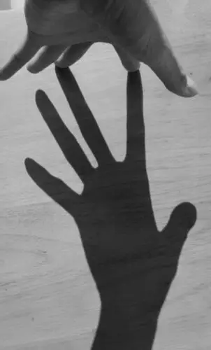 和自己的影子握手