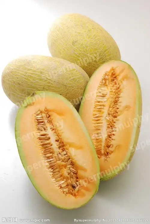哈蜜瓜图片