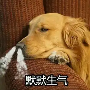 生气狗表情包 9枚完整版 高清版