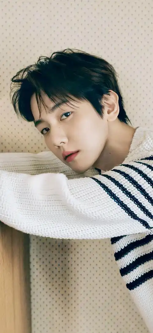 边伯贤超话#边伯贤费加罗封面#  |壁纸|    天才爱豆7815