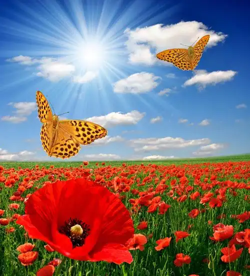 金振德胡桂兰纪念馆