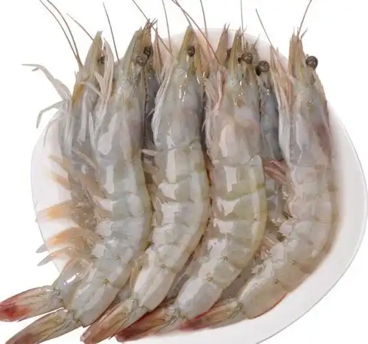 买大虾,如何区分海捕的和养殖的?渔民:看5点,不会买到假海虾