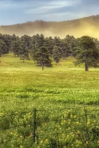 首页 自然与风景 夏天iphone 壁纸:640x1136 (iphone 5/5s/5c/se)