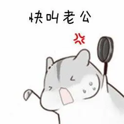 快叫老公表情包大全斗图表情