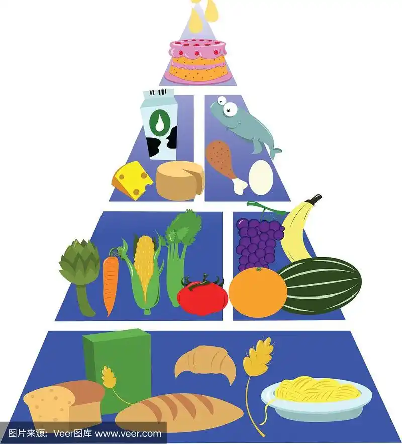 食物金字塔