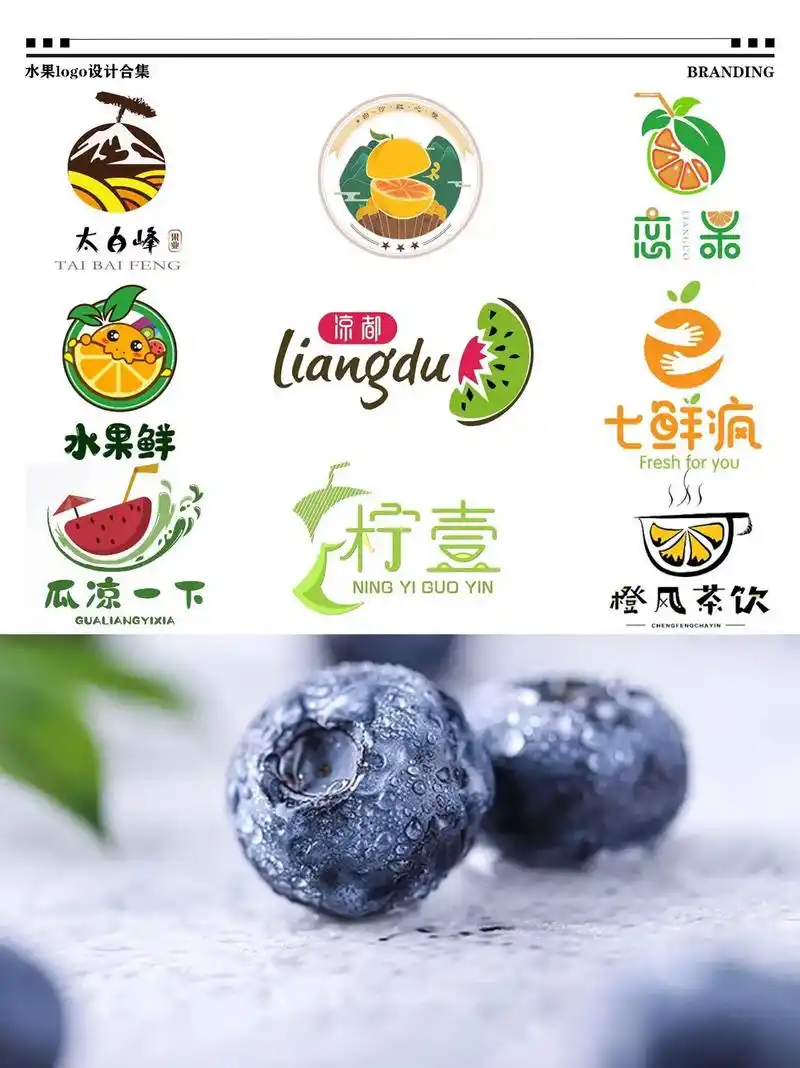 夏天都在找的水果店logo 设计合集.大家好!今天我要来分享 - 抖音