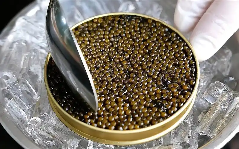 鱼子的功效与作用(鱼子的功效与作用,让您拥有健康美丽的肌肤)