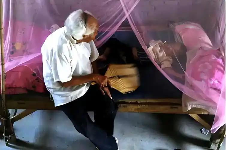 夏天马上就到了,你靠什么乘凉,你肯定会说,空调,电风扇.