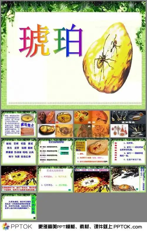 (1)第二部分:琥珀的形成过程.(2—12)第三部分:琥珀的发