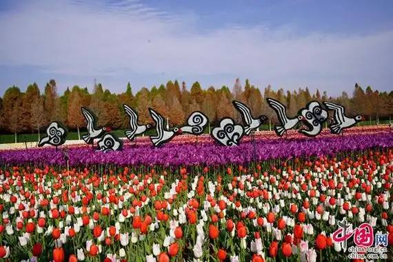 捞渔河湿地公园百万株郁金香花展如约而至