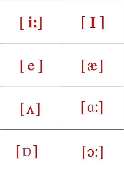 音标卡片