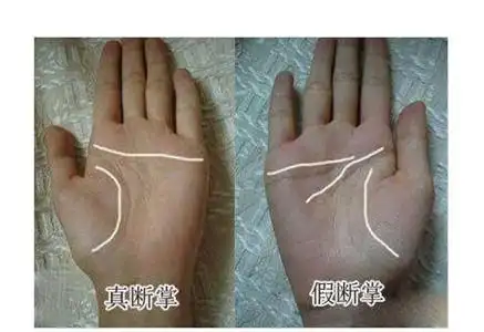 手掌有这三条纹,一生轻松不用愁 - 乾坤网